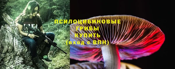 соль курить ск Алзамай