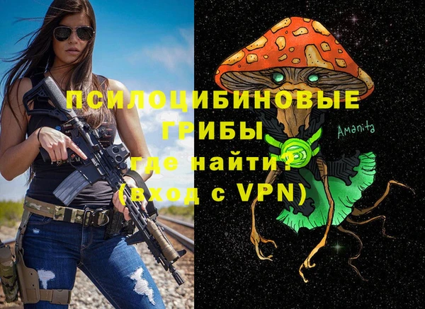 амф Алексин
