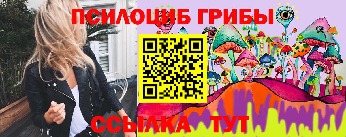 Златоуст  Галлюциногенные грибы Cubensis  Вход с VPN  Галлюциногенные грибы прущие грибы 