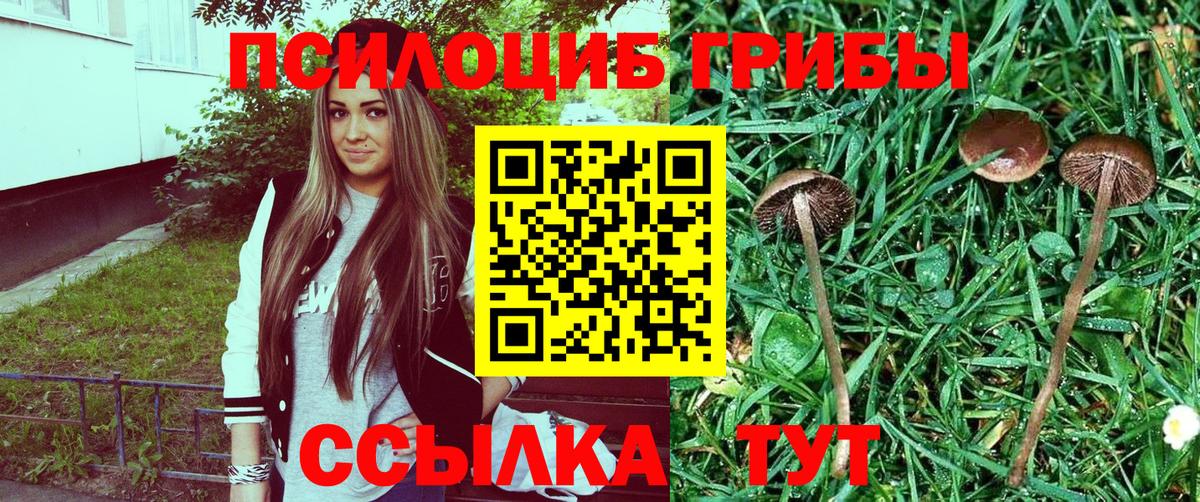 Галлюциногенные грибы мицелий Златоуст